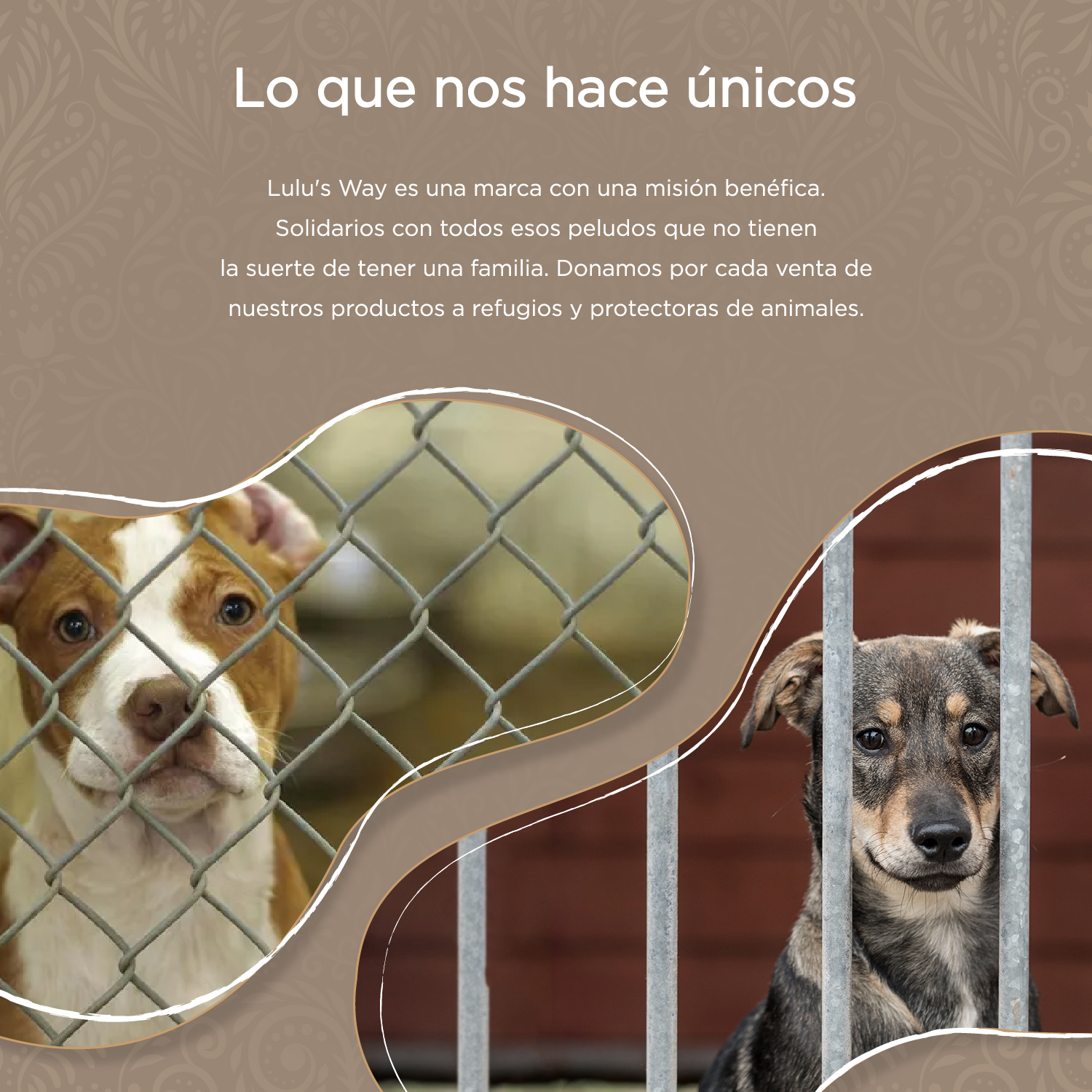 refugios