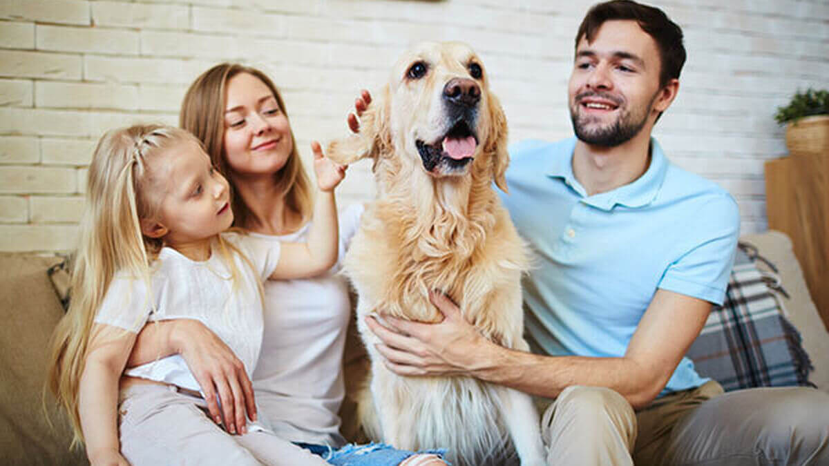 Grandes beneficios de tener perro