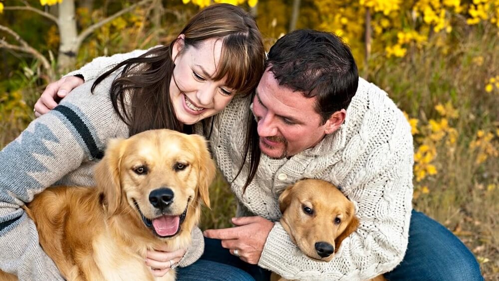 Grandes beneficios de tener un perro