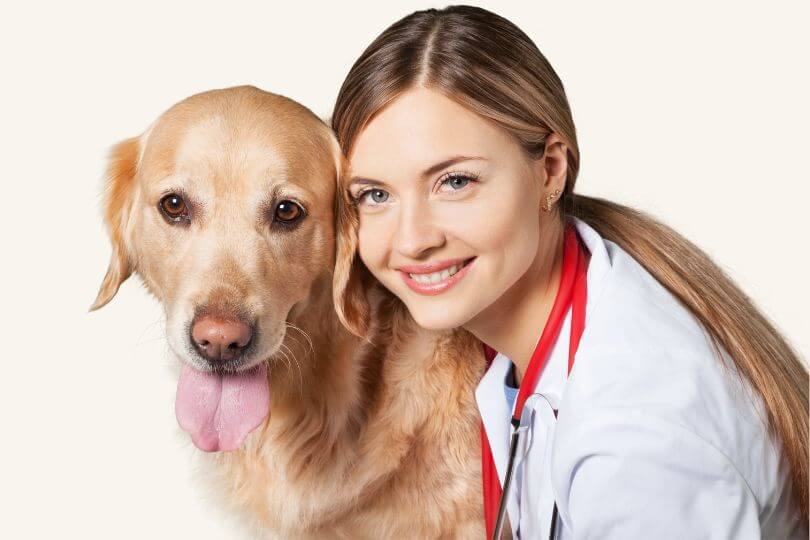 Centros veterinarios