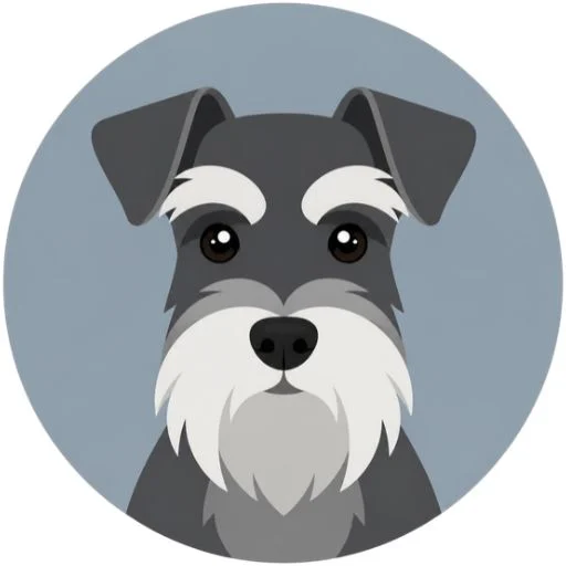 Schnauzer Schnauzer