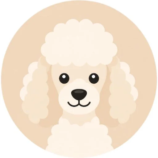 caniche caniche