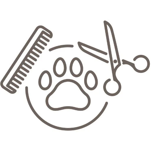 corte y arreglo corte y arreglo