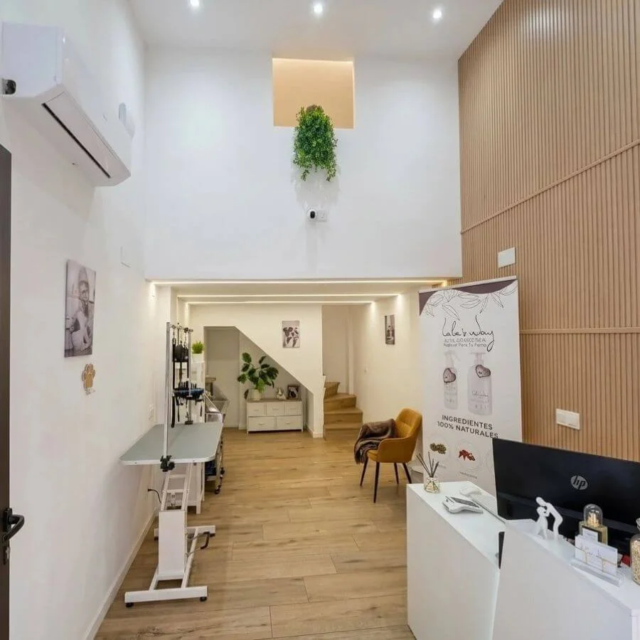 instalaciones peluqueria canina en barcelona Entrada peluqueria canina Lulu’s Way