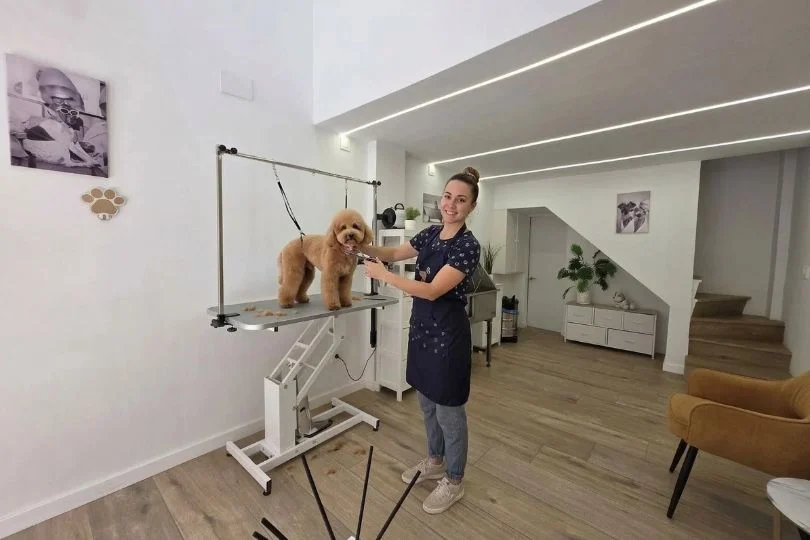 peluqueria canina Lulu’s Way Peluqueria canina Lulu’s Way