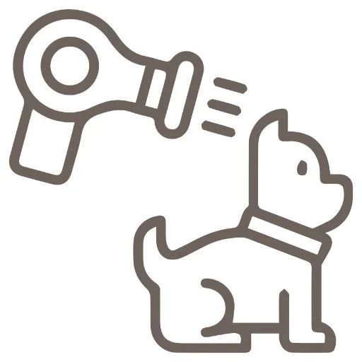 secado profesional perro secado profesional perro
